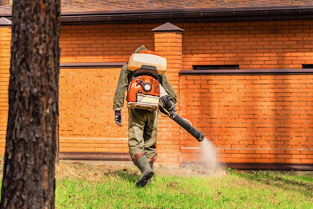 Trusted Termite Control service in Dodge Center, MN - Nex Pest Control